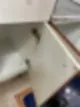 개포동 입주청소 어디에 맡겨야할지 고민이라면 필독 110