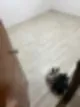 개포동 입주청소 어디에 맡겨야할지 고민이라면 필독 143