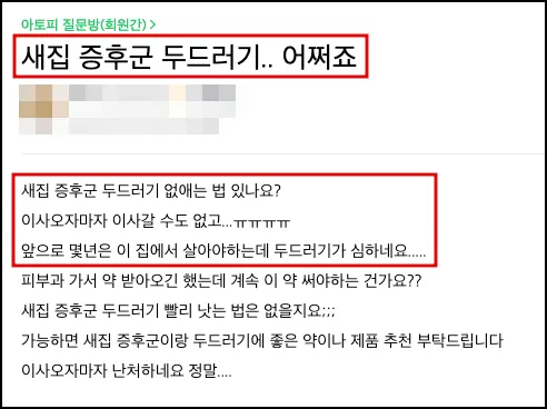 새집증후군 제거 업체 선택 전 꼭 알아야 할 것들