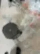 시흥 고잔동 입주청소 결국 OO이 정답입니다 59