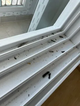 부평동입주청소 검증된 곳은 어떻게 하나요 11