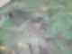 평택공장청소 비용까지 모두 공유드립니다 58