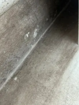 안산이사청소 곰팡이 제거까지 끝마친 현장 2