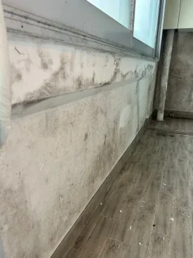 안산이사청소 곰팡이 제거까지 끝마친 현장 6