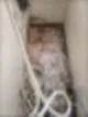 용인이사청소 고객님이 깜짝 놀란 이유 45
