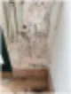 청소업체 가격과 추가금은 어떻게 될까 6